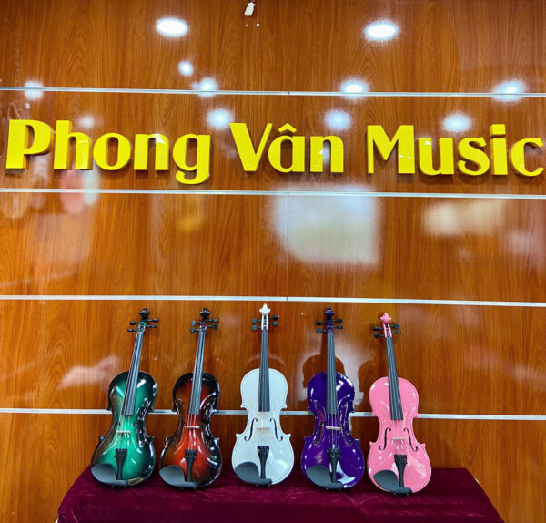 SG-V5 (1) Đàn Violin Saiger SG-V5 Size 4/4 Nhiều Màu