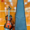 Đàn Violin Saiger SG-V5 Size 4/4 Nhiều Màu