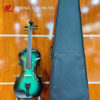 SG-V5 (13) SG-V5 (13)