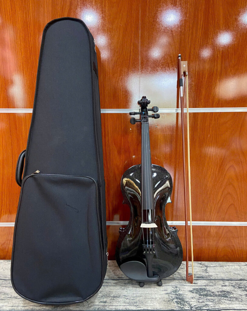 Đàn Violin Saiger SG-V5 Size 4/4 Nhiều Màu