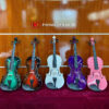 Đàn Violin Saiger SG-V5 Size 4/4 Nhiều Màu