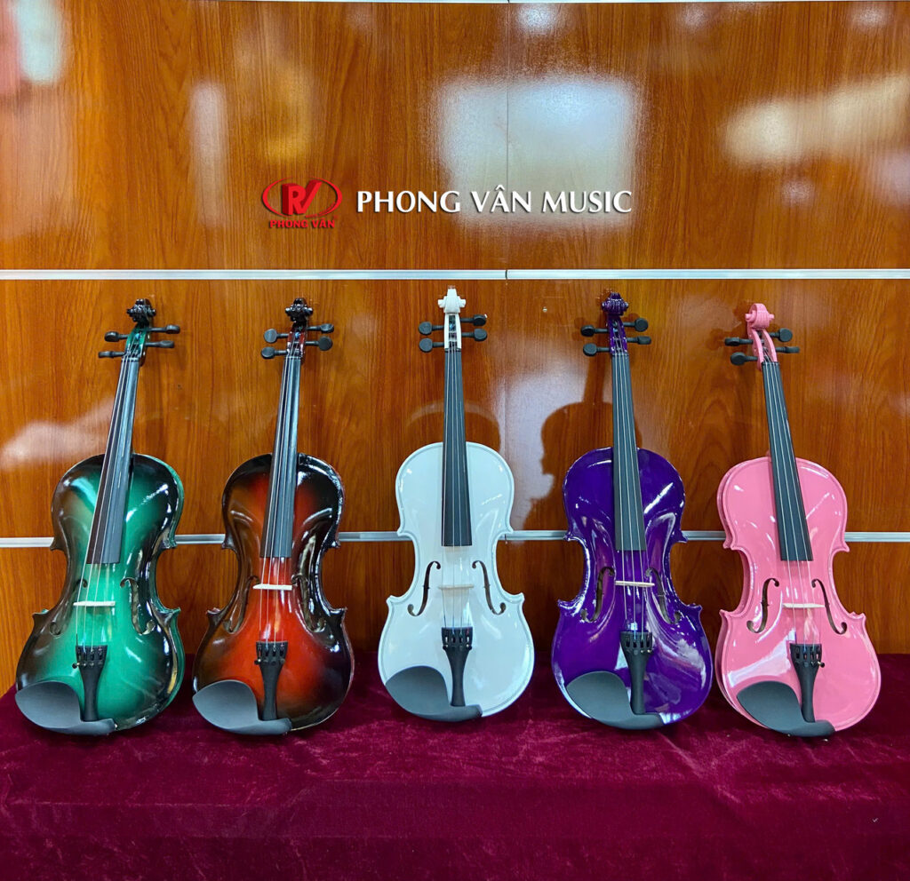 Đàn Violin Saiger SG-V5 Size 4/4 Nhiều Màu