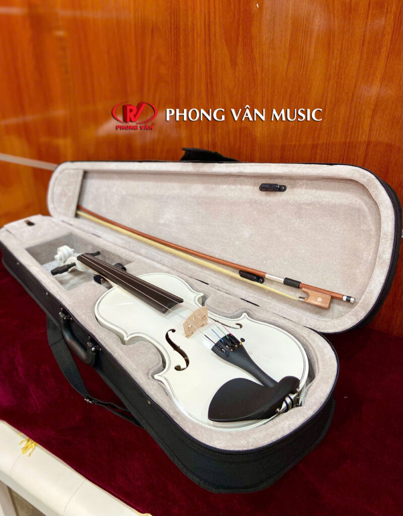 Đàn Violin Saiger SG-V5 Size 4/4 Nhiều Màu
