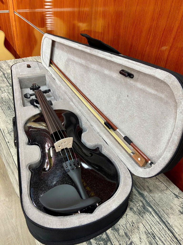 Đàn Violin Saiger SG-V5 Size 4/4 Nhiều Màu