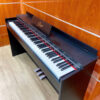 Digital Piano Saiger SDP-3619
