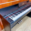 Digital Piano Saiger SDP-3619